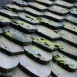 Démoussage toiture terre cuite
