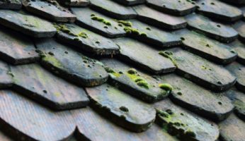 Démoussage toiture terre cuite